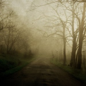 _silence__by_day_light-425x425