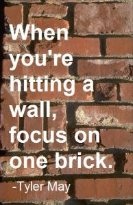 focus on one brick